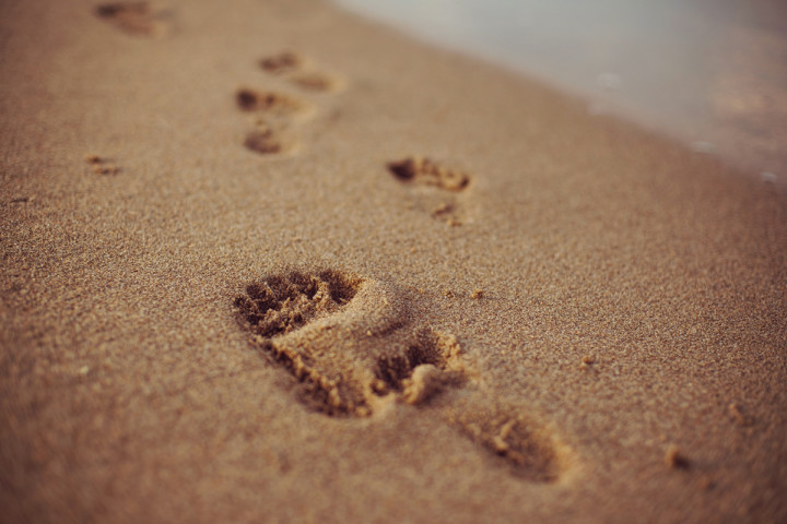 Семейни фотосесии - Нора, Борил, Марта и Дидо 10