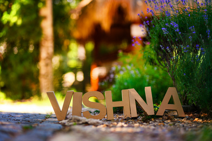 Бизнес - V I S H N A 9