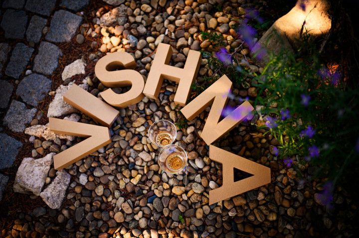 Бизнес - V I S H N A 10