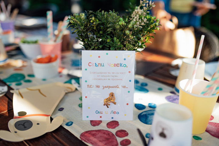 Фотосесия с домашен  любимец - Dog's birthday 1