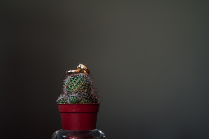 Цели сватби - Мария и Мартин 1