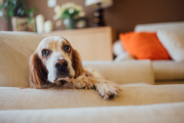 Семейни фотосесии - Фотосесия у дома 1