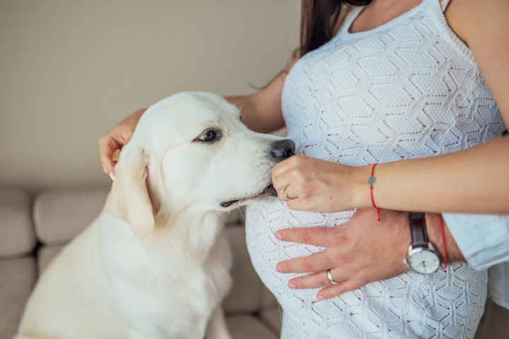 Фотосесия на бременна - Ивана 2