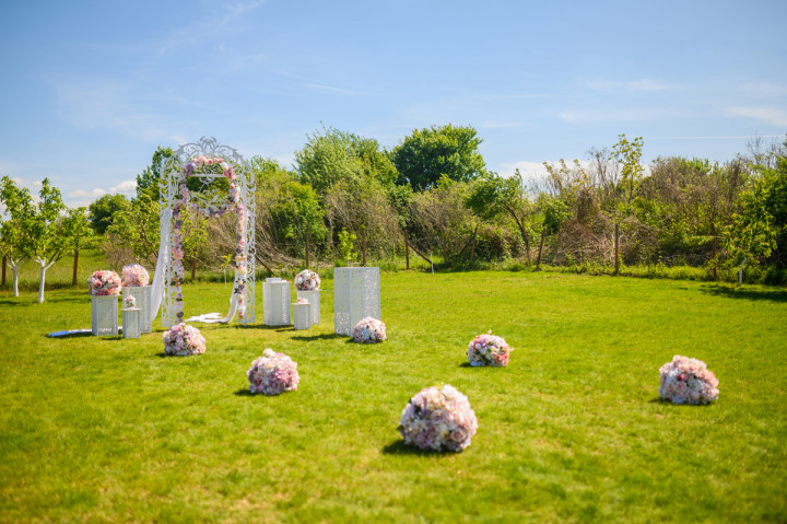 Цели сватби - Каролина и Цветан - подписване 1