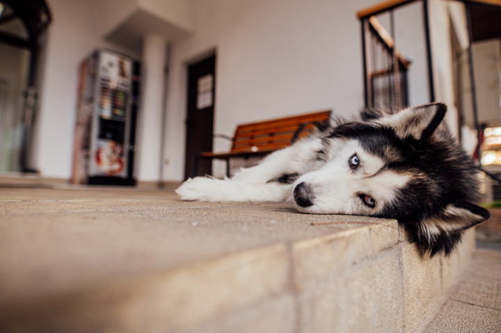 Бизнес - ОВК Варна 2