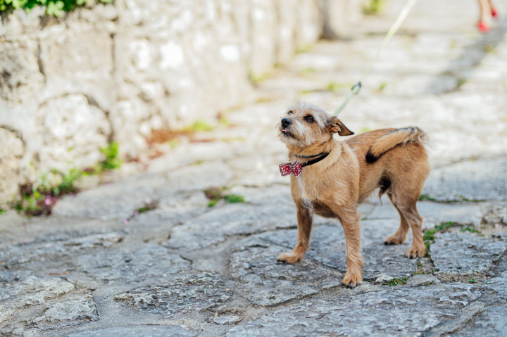 Кръщенета - Кръщене на Кирил 3