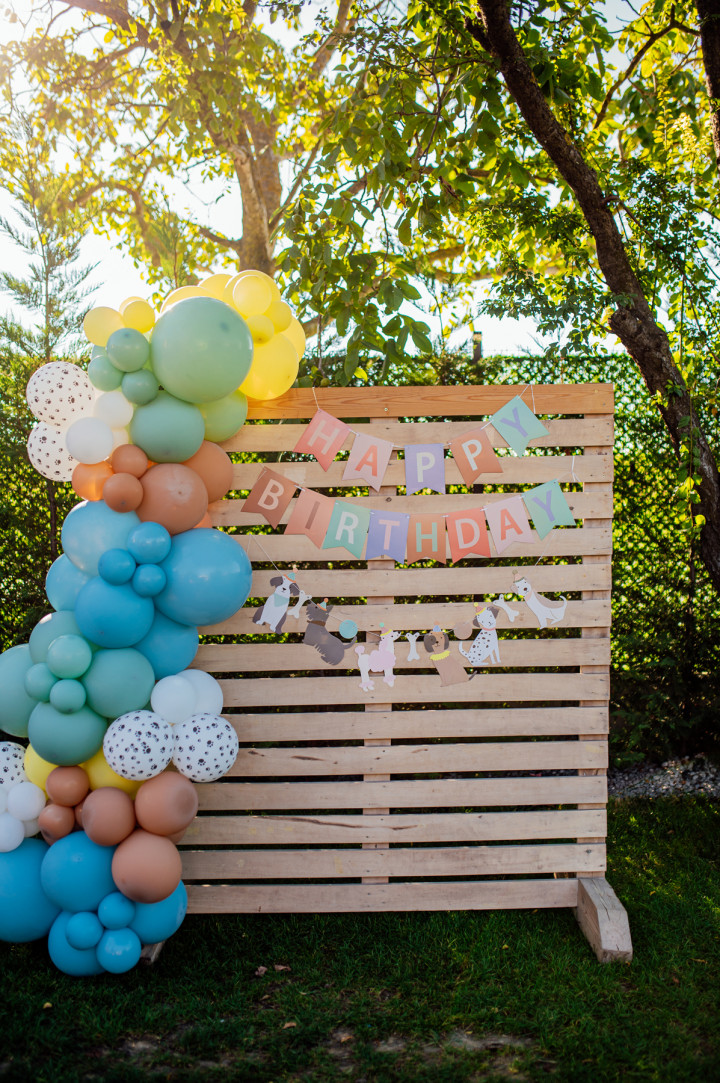 Фотосесия с домашен  любимец - Dog's birthday 2