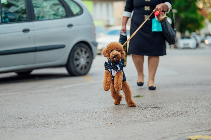 Цели сватби - Дени и Светльо 1