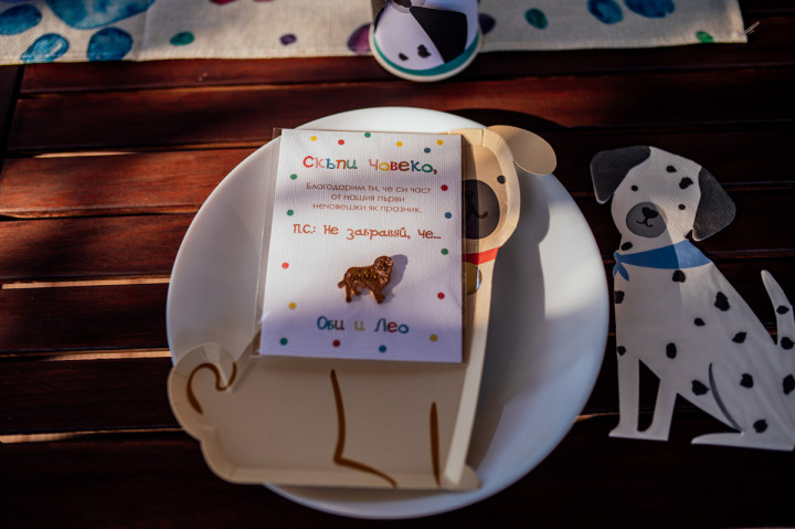 Фотосесия с домашен  любимец - Dog's birthday 3