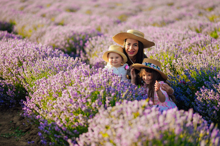 Семейни фотосесии - Фамилна фотосесия в лавандула 2