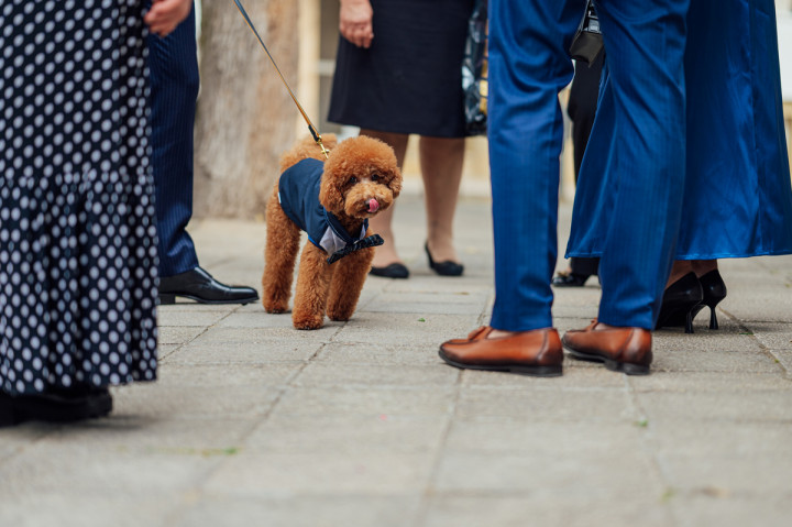 Цели сватби - Дени и Светльо 2