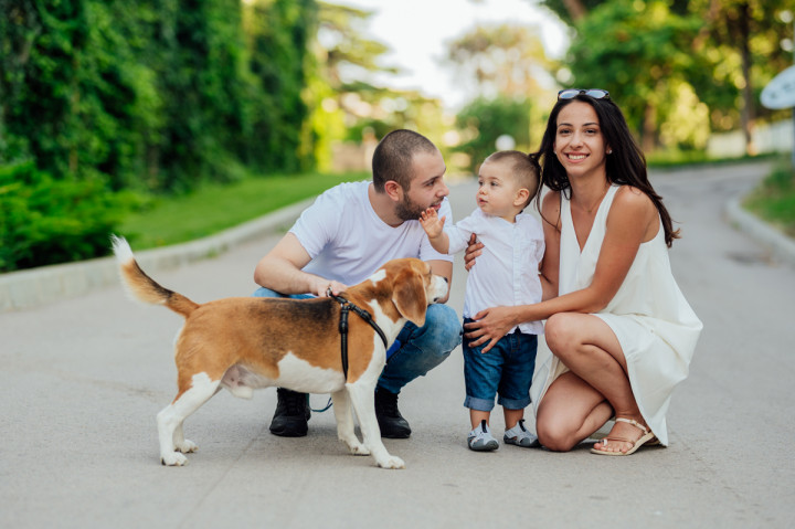 Семейни фотосесии - Алекс и Лъки 7