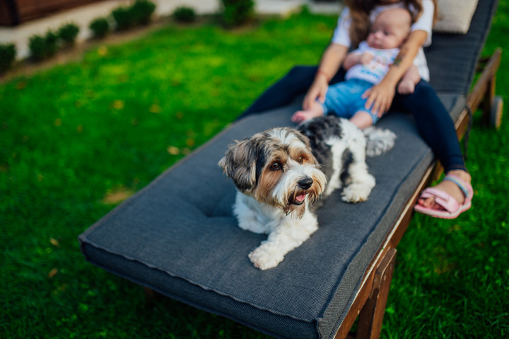 Семейни фотосесии - Семейна фотосесия в двора 5