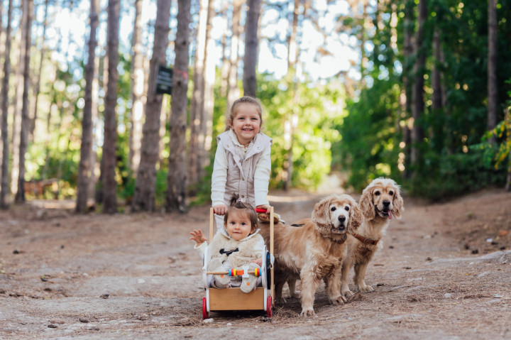 Семейни фотосесии - Габи и Йони 4