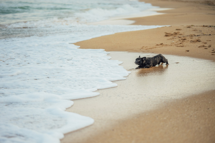 Семейни фотосесии - Алиса, Матей, Ричи, мама и тати 8