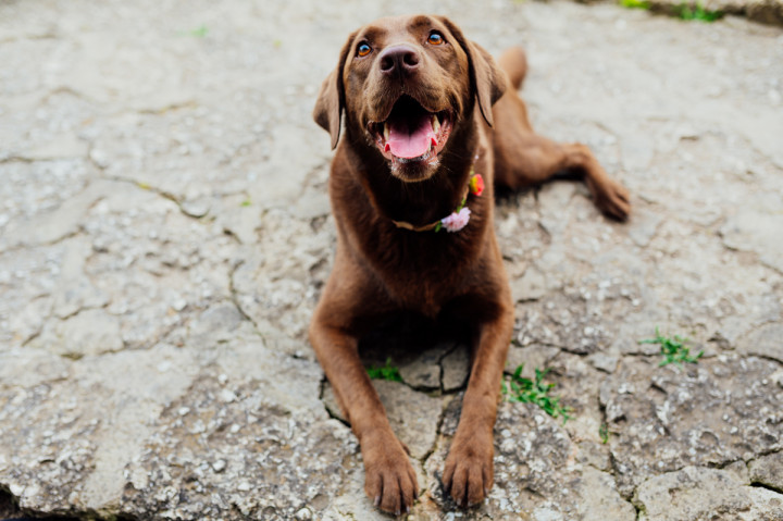 Следсватбени фотосесии - Мариана и Кирил 4