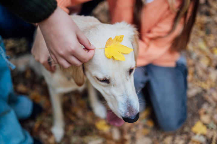 Семейни фотосесии - сем. Дочеви 6