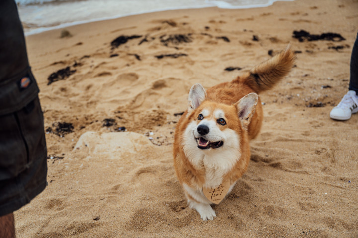 Предсватбени фотосесии - Василена и Кевин 4