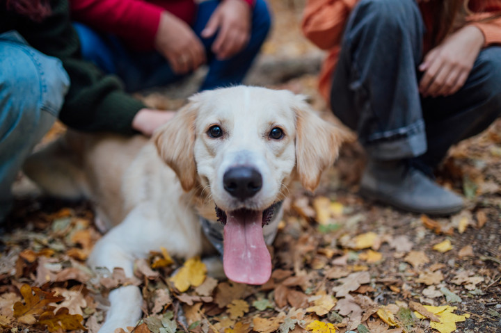 Семейни фотосесии - сем. Дочеви 7