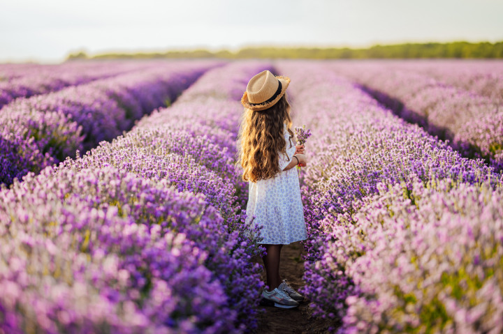 Семейни фотосесии - Марая в лавандула 3