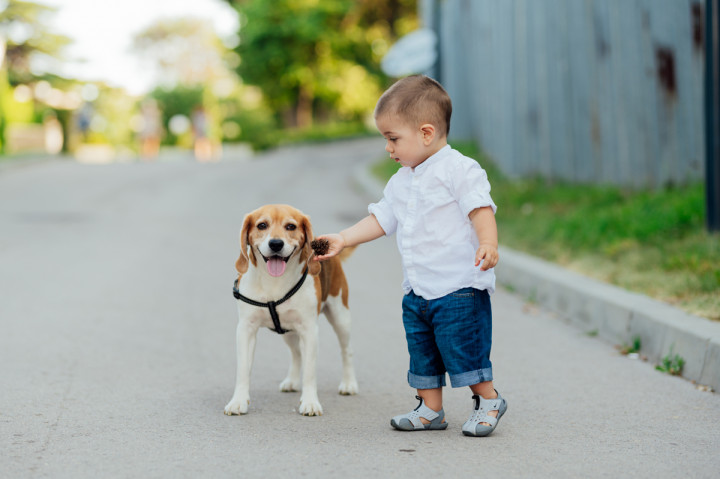 Семейни фотосесии - Алекс и Лъки 10