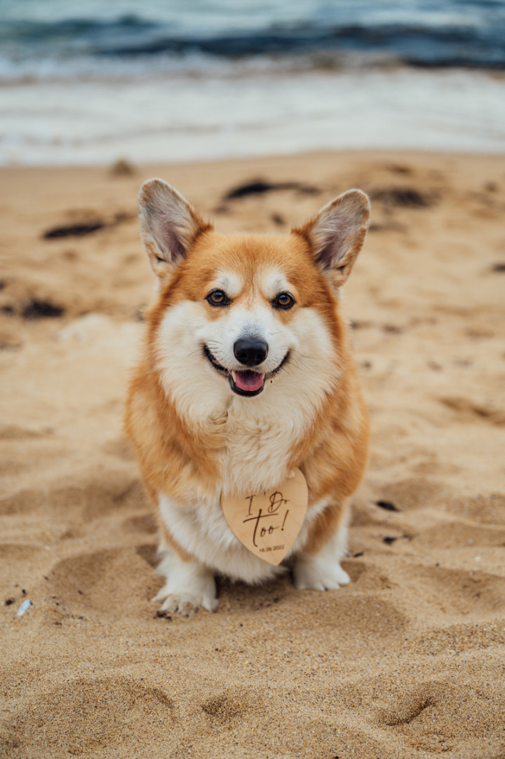 Предсватбени фотосесии - Василена и Кевин 5