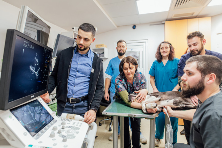 Бизнес - ОВК Варна 4