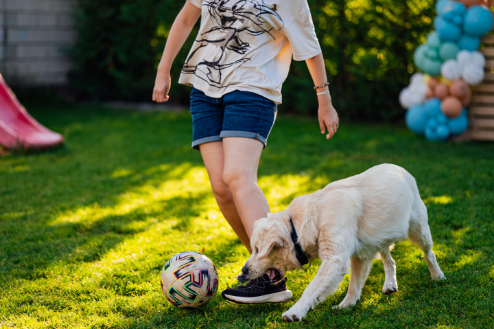 Фотосесия с домашен  любимец - Dog's birthday 10