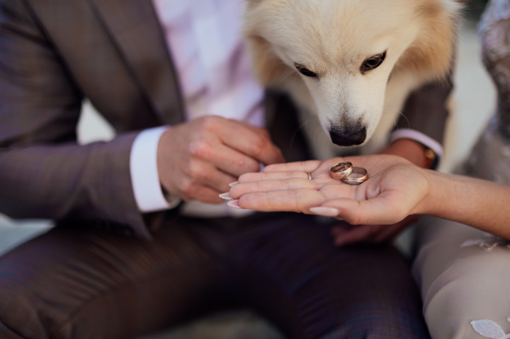 Следсватбени фотосесии - Иван и Фили 5