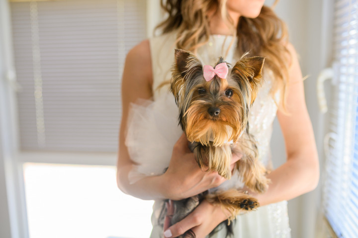 Цели сватби - Каролина и Цветан - подписване 4