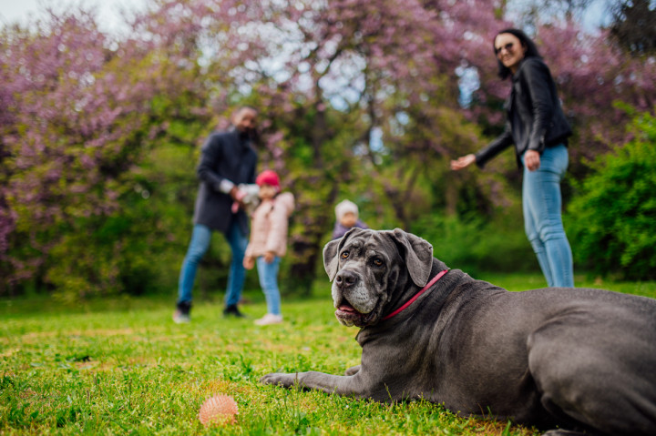 Семейни фотосесии - Dad & women's kingdom 3