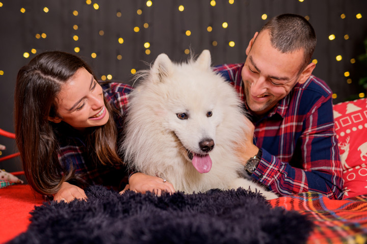 Фотосесия с домашен  любимец - Фотосесия с Маркъс 7