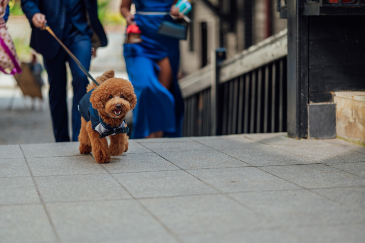 Цели сватби - Дени и Светльо 7