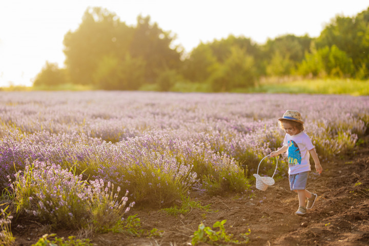 Детски фотосесии - Явор сред поля 5