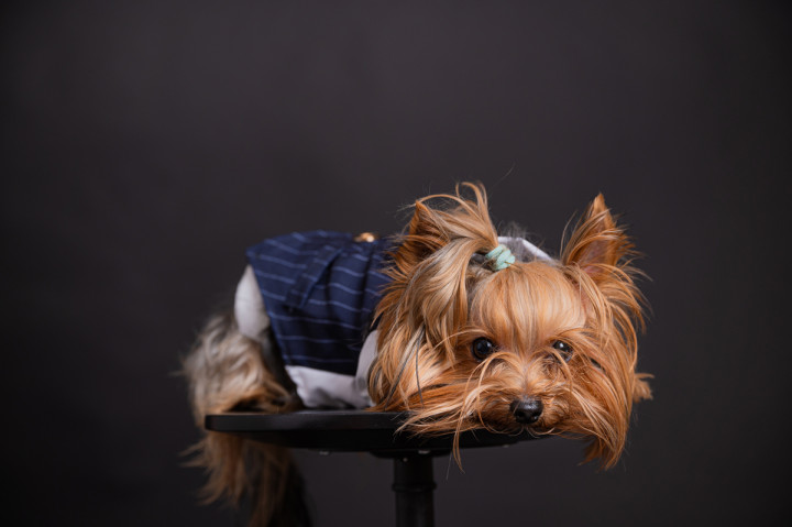 Семейни фотосесии - Женско царство 6