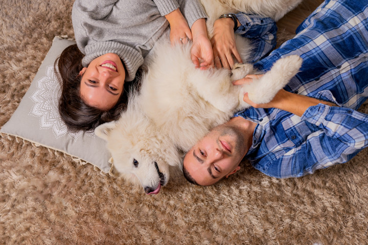 Фотосесия с домашен  любимец - Фотосесия с Маркъс 10