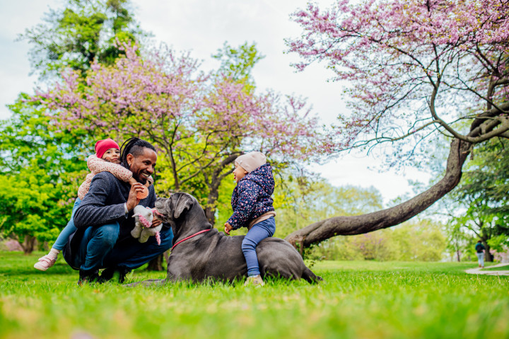 Семейни фотосесии - Dad & women's kingdom 10