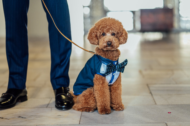 Цели сватби - Дени и Светльо 10