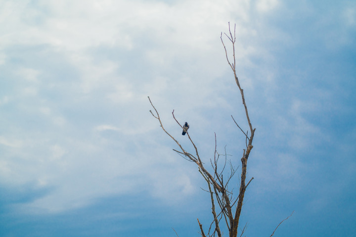 Следсватбени фотосесии - Поли и Дидо 10