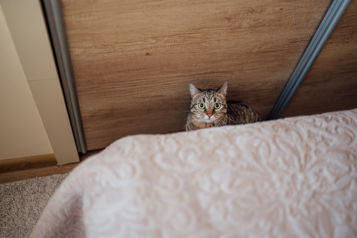 Цели сватби - Бети и Сашо 7