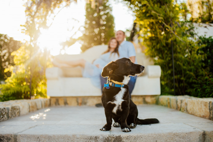 Фотосесия на бременна - Елена, Филип и Роки 9