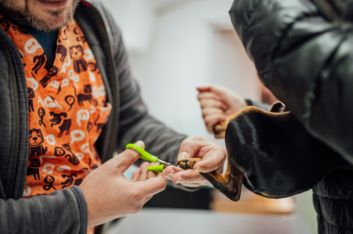 Бизнес - ОВК Варна 10