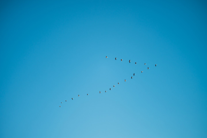 Фотосесия на бременна - Даяна 1