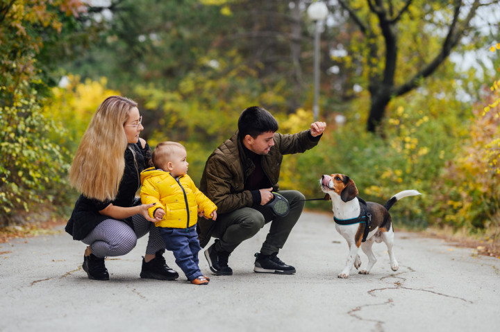 Семейни фотосесии - Васко, Бари, мама и татко 2