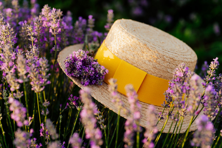 Семейни фотосесии - сем.Вълкови 8