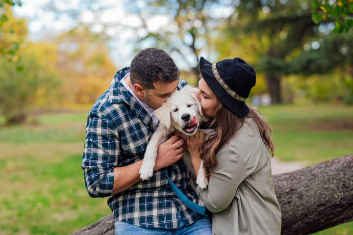 Фотосесия с домашен  любимец - Плами, Краси, Вики и Оби 1