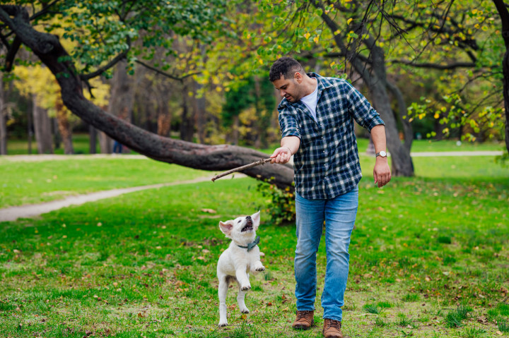 Фотосесия с домашен  любимец - Плами, Краси, Вики и Оби 6