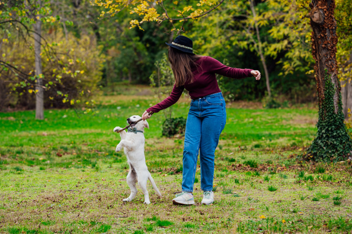 Фотосесия с домашен  любимец - Плами, Краси, Вики и Оби 7