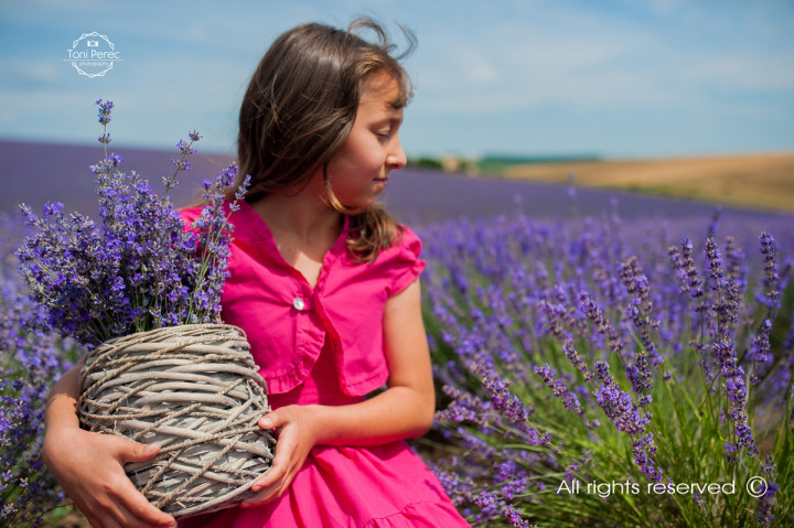 Бизнес - Into the Lavender 8