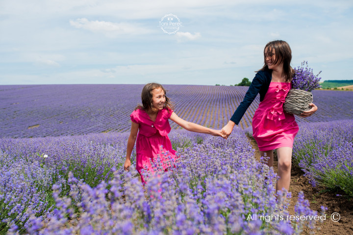 Бизнес - Into the Lavender 9